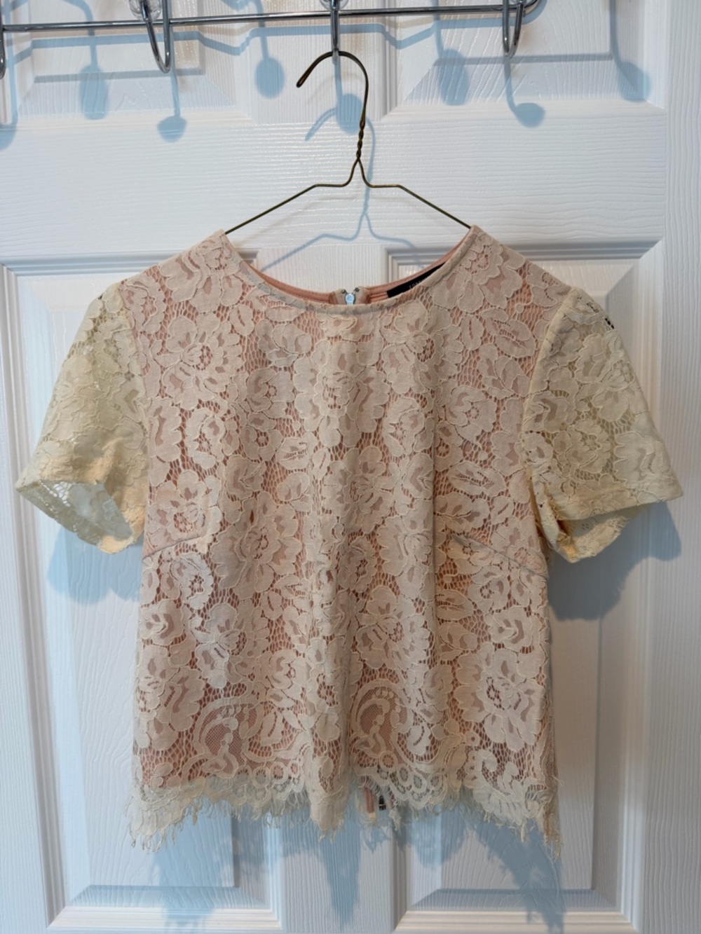 Forever 21 Blush Pink Lace Crop Top